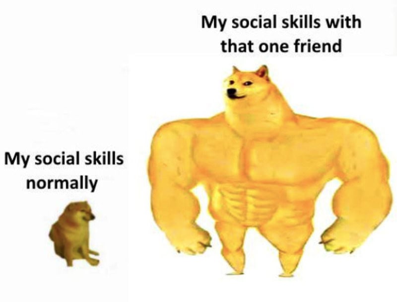Comparison of social skills: normal dog vs. muscular dog with social skills with one friend.