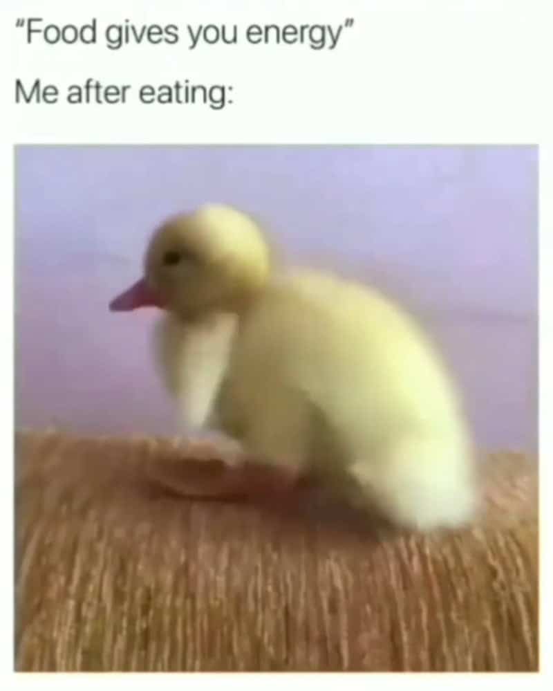 Food gives you energy. Me after eating:.
