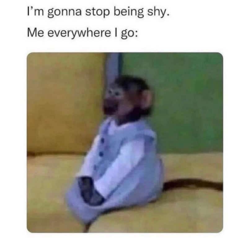 I'm gonna stop being shy. Me everywhere I go:.