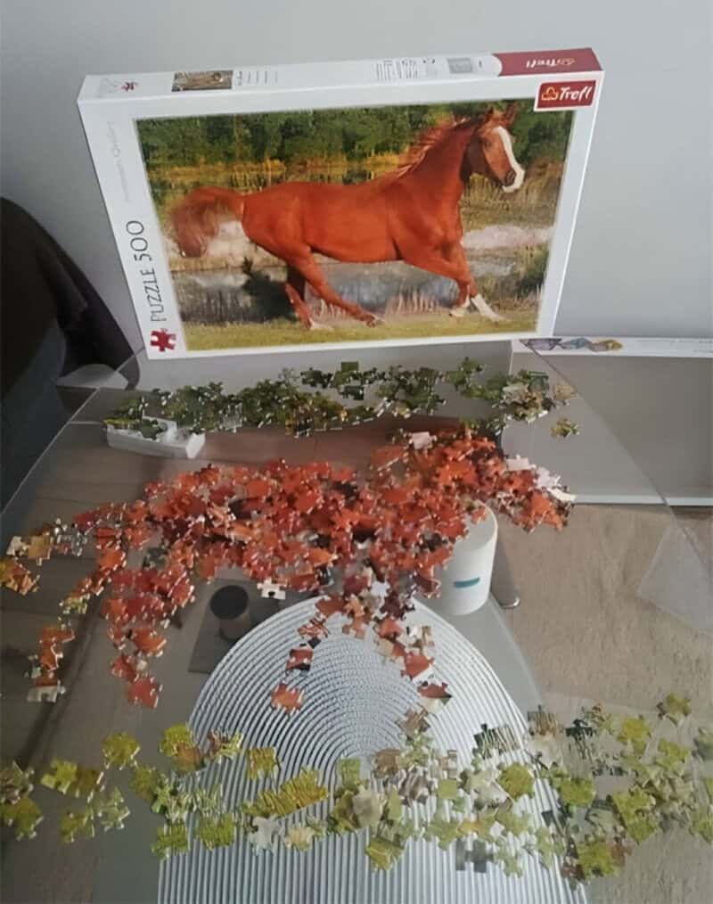 Puzzle of a running brown horse with a white blaze on its face.