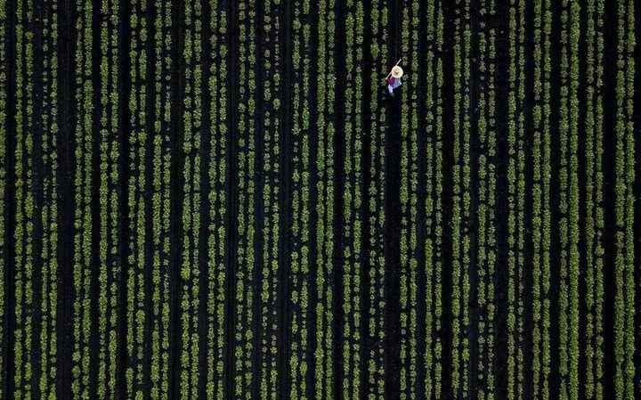 A person in a white shirt and blue jeans walking among green digital code streams.