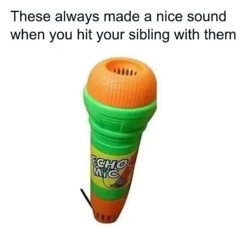 Echo Mic toy with text about making a nice sound when hitting a sibling.