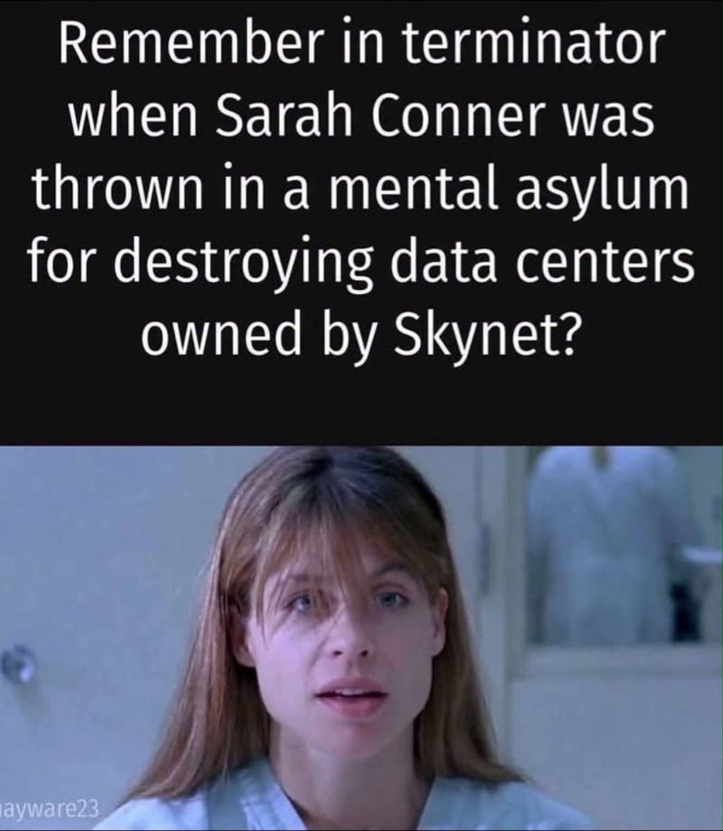 Remember in terminator when Sarah Conner was thrown in a mental asylum for destroying data centers.