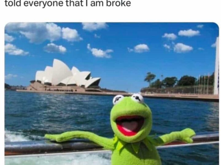 Kermit the Frog plush toy on a boat with Sydney Opera House in background.