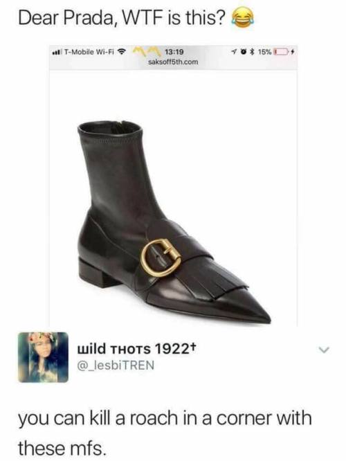 funny shoe picture, funny prada shoe picture, kill roach in corner funny picture, kill roach corner shoe meme, funny pictures, funniest pictures, funny pics, funny images, meme pictures, hilarious funny pictures, pictures memes, picture meme, funny meme pics, best funny pictures, best funny picture, funniest picture, meme picture, crazy funny photos, funny photos, funny picture, funny photo, funny meme, funny photo dump, hilarious picture, humorous picture