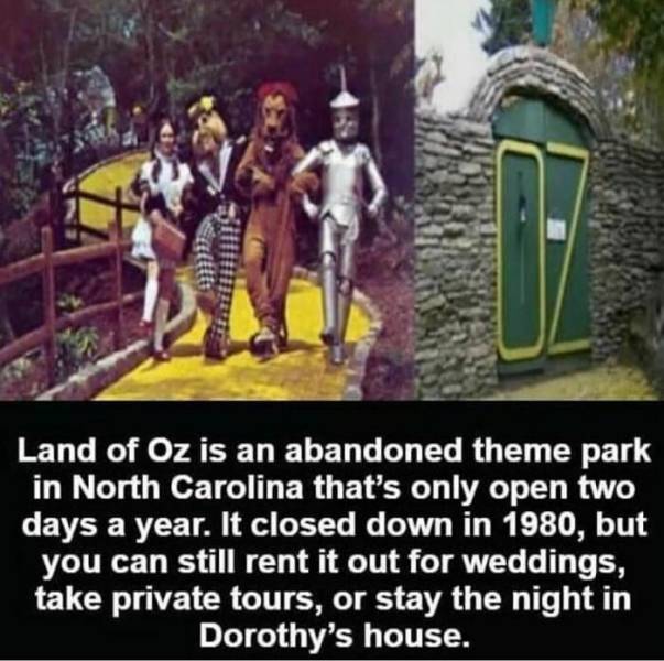 Terrifying Tales And Chilling Facts To Keep You Up At Night