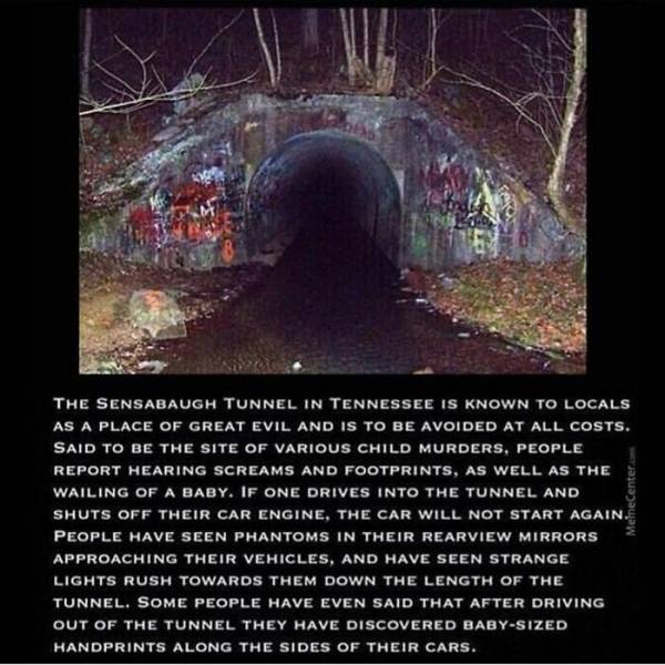 Terrifying Tales And Chilling Facts To Keep You Up At Night