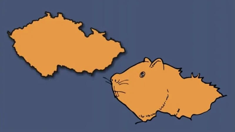 Hamster shaped like a European country with a separate landmass.