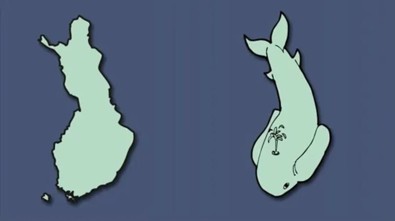 Map of Finland and a whale with a plant on its back.