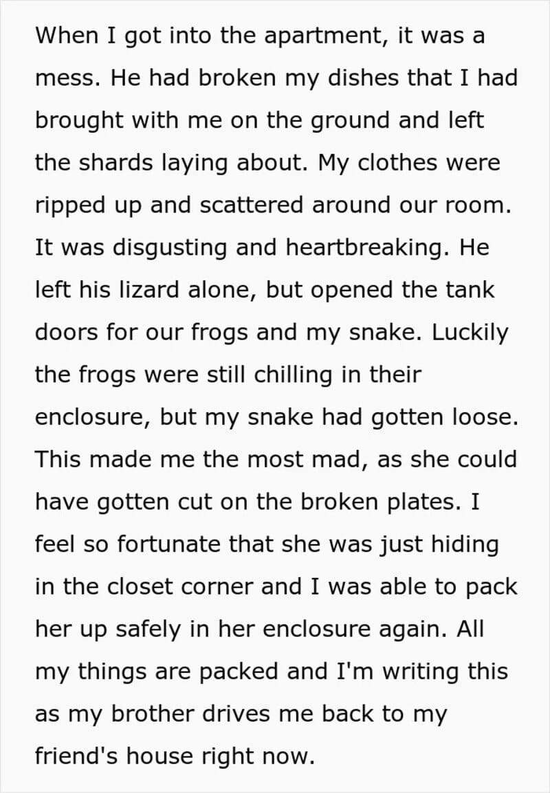 A messy apartment with broken dishes, scattered clothes, and a snake in an enclosure.