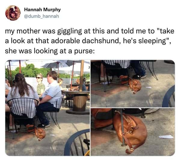 Mother giggling at a dog sleeping in a purse at an outdoor cafe.