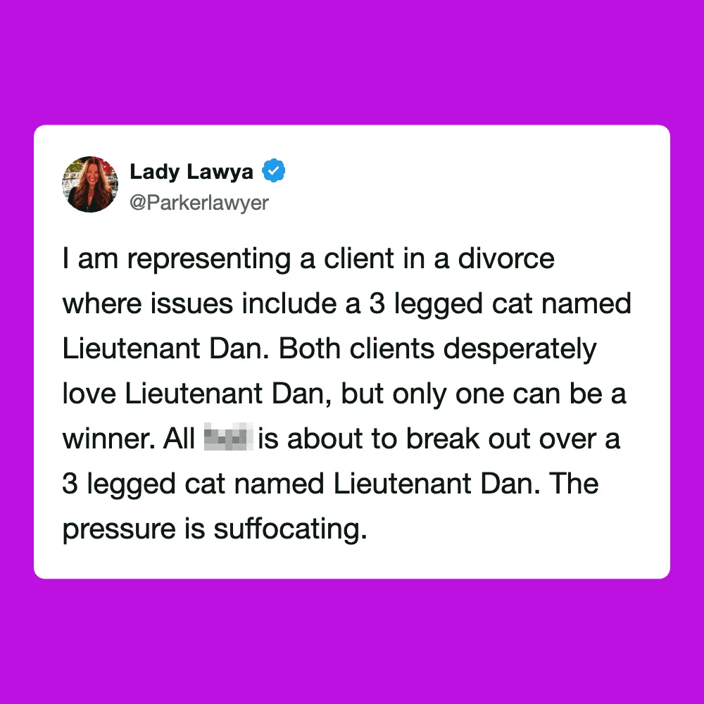 Lady Lawya's tweet about a client in a divorce involving a 3-legged cat named Lieutenant Dan.