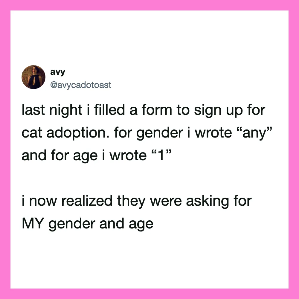 A tweet about filling a form for cat adoption, writing 'any' for gender and '1' for age.