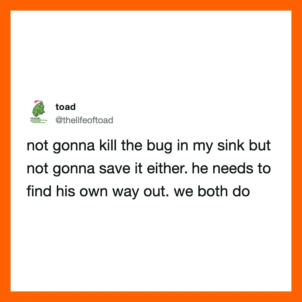 Toad's tweet about not killing the bug in his sink but letting it find its own way out.