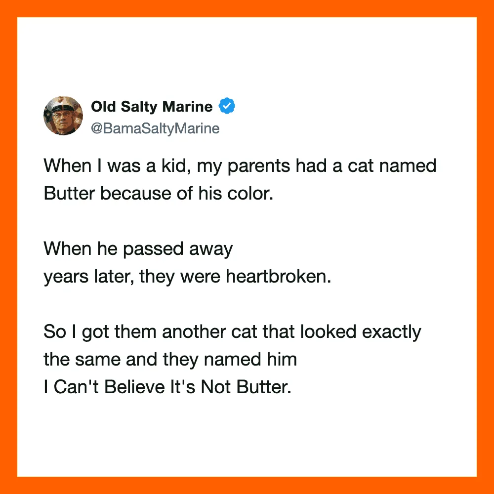 A tweet about a cat named Butter and a new cat called I Can't Believe It's Not Butter.