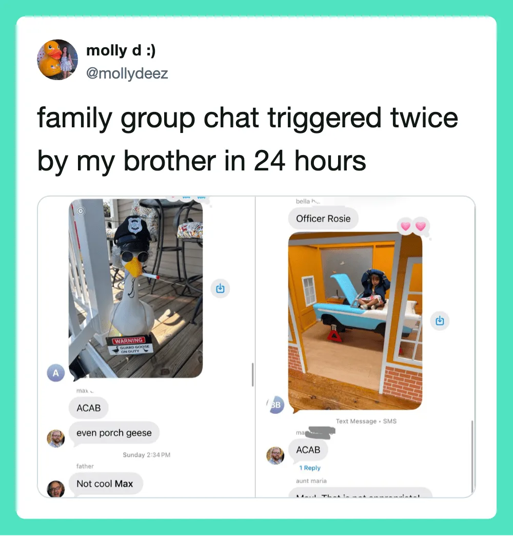 Family group chat triggered twice by brother in 24 hours, with images of a goose and a dollhouse.