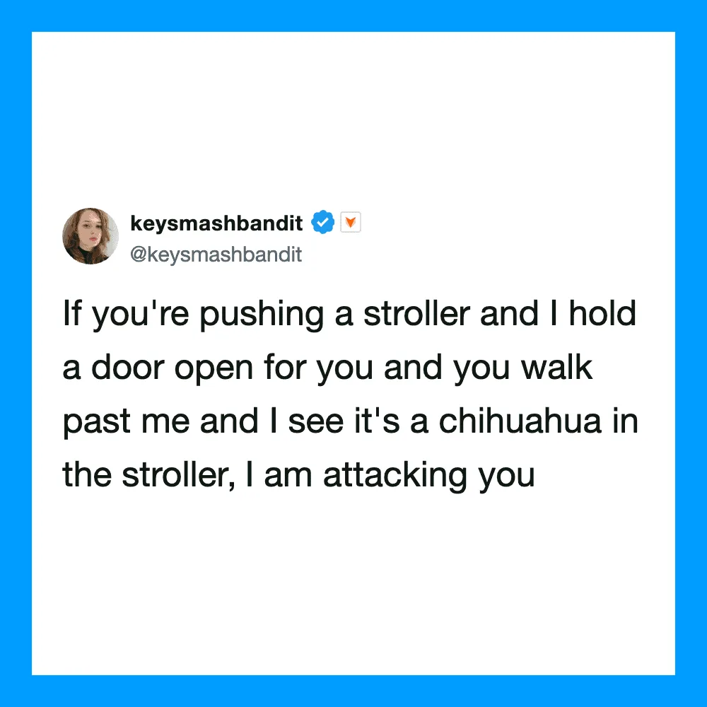 Twitter post by keysmashbandit about pushing a stroller and a Chihuahua.