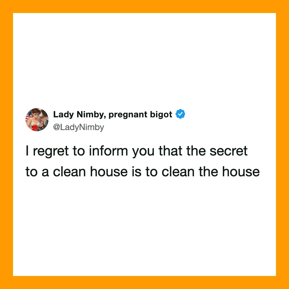 Lady Nimby tweet about cleaning house to keep it clean.