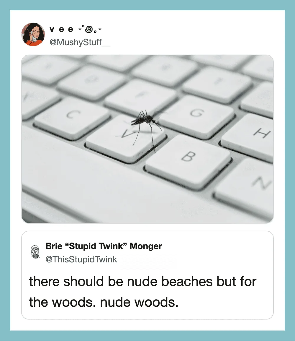 Close-up of a mosquito on a white keyboard with the tweet text below.