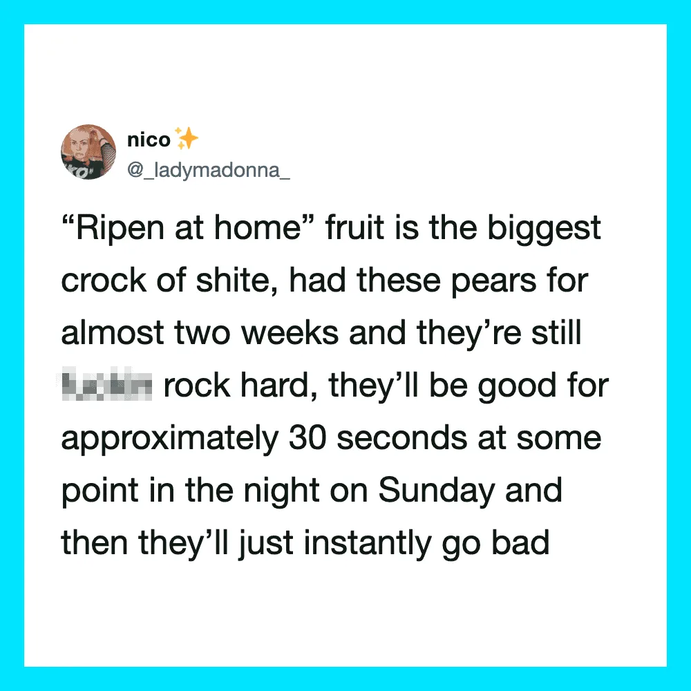 Tweet about ripening pears being hard and lasting about 30 seconds at night.