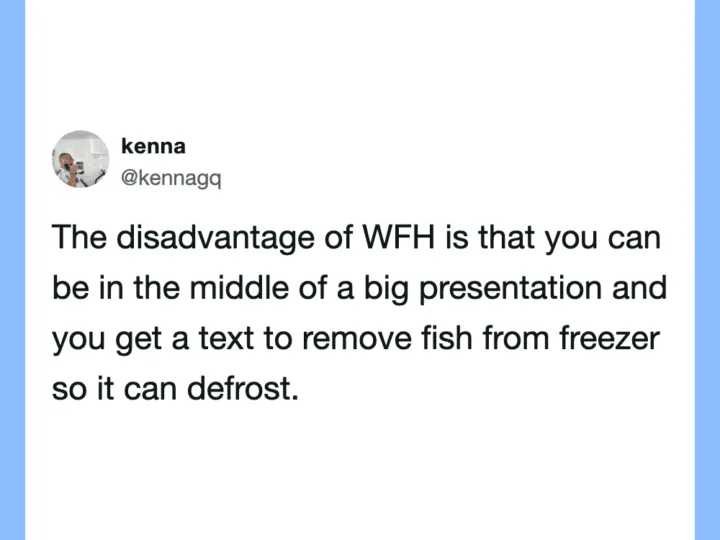 Tweet by kenna about the disadvantage of WFH and freezing fish.