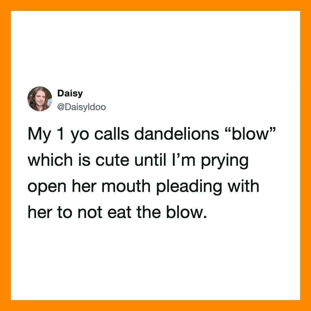 A tweet about a 1-year-old calling dandelions 'blow' and pleading not to eat the blow.