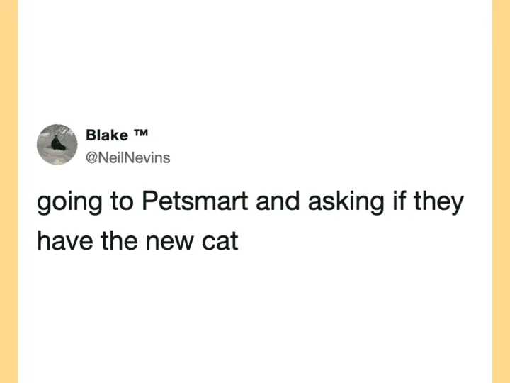 Tweet about going to Petsmart to ask about a new cat.