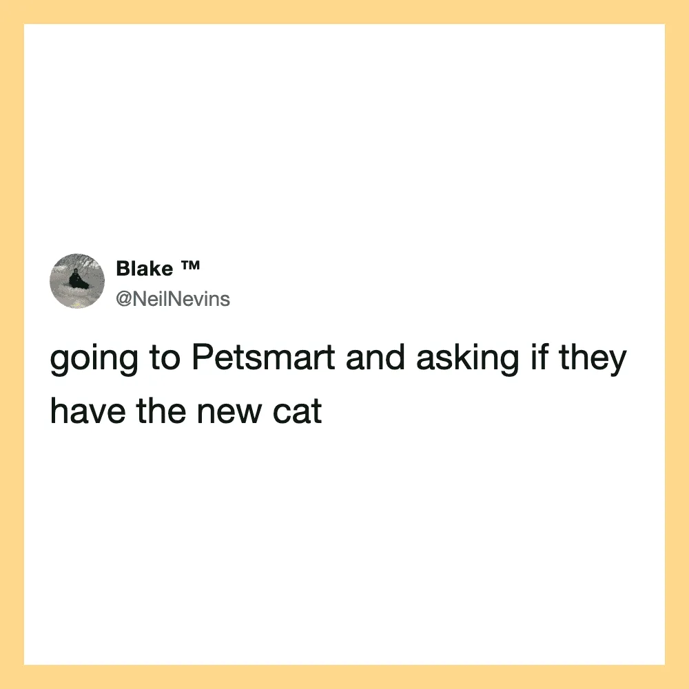 Tweet about going to Petsmart to ask about a new cat.