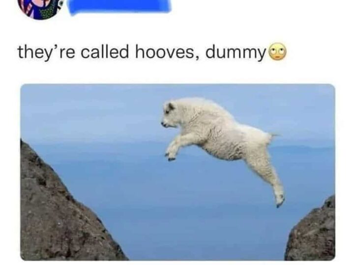 A mountain goat jumping between two cliffs with the caption 'The Amazing Feats Of Mountain Goats'.