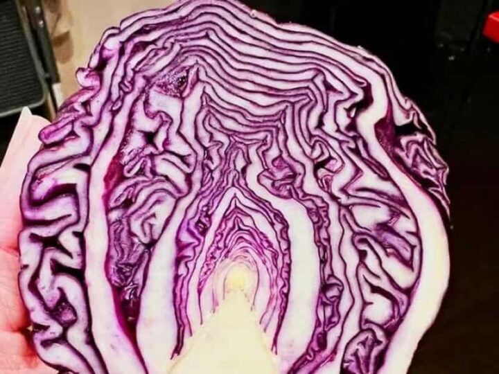Cross-section of purple cabbage resembling a fairy path leading to a glowing doorway.