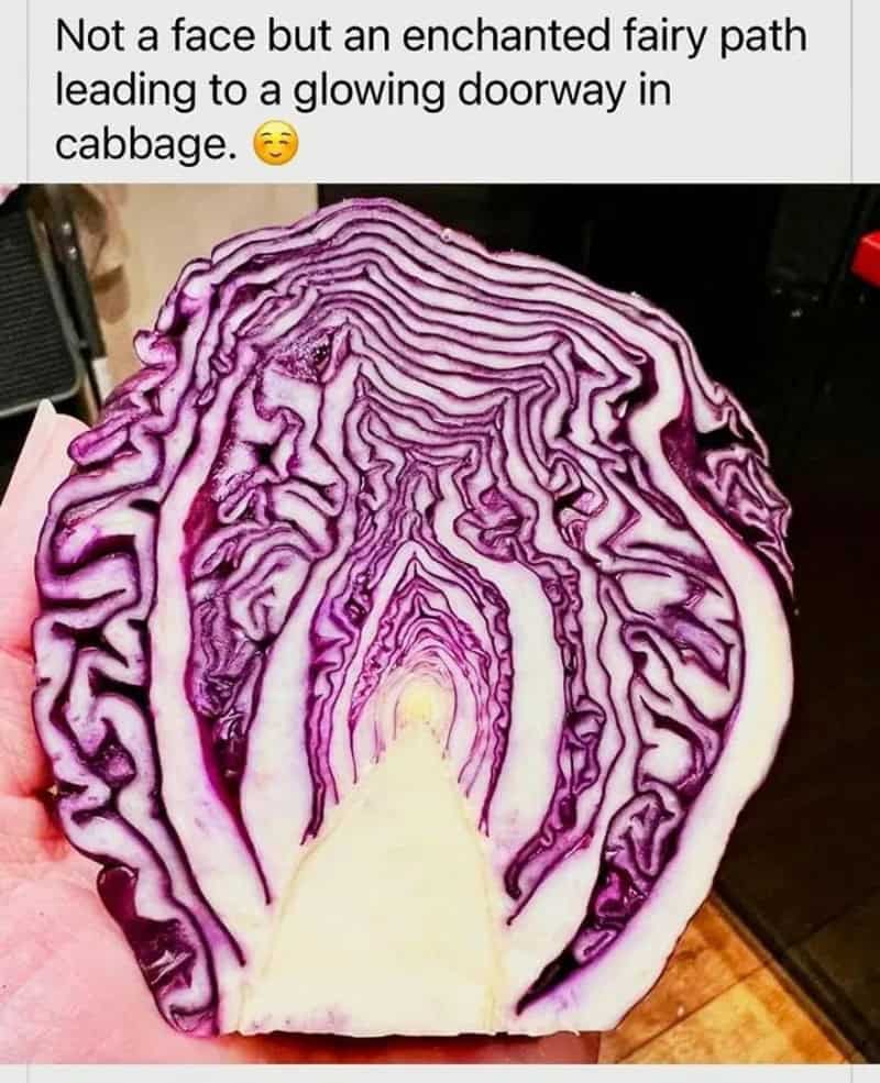 Cross-section of purple cabbage resembling a fairy path leading to a glowing doorway.