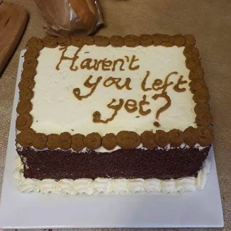 Cake with message 'Haven't you left yet?' written on top.