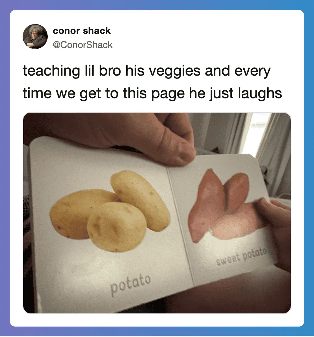 Photo of a children's book showing potatoes and sweet potatoes with labels.