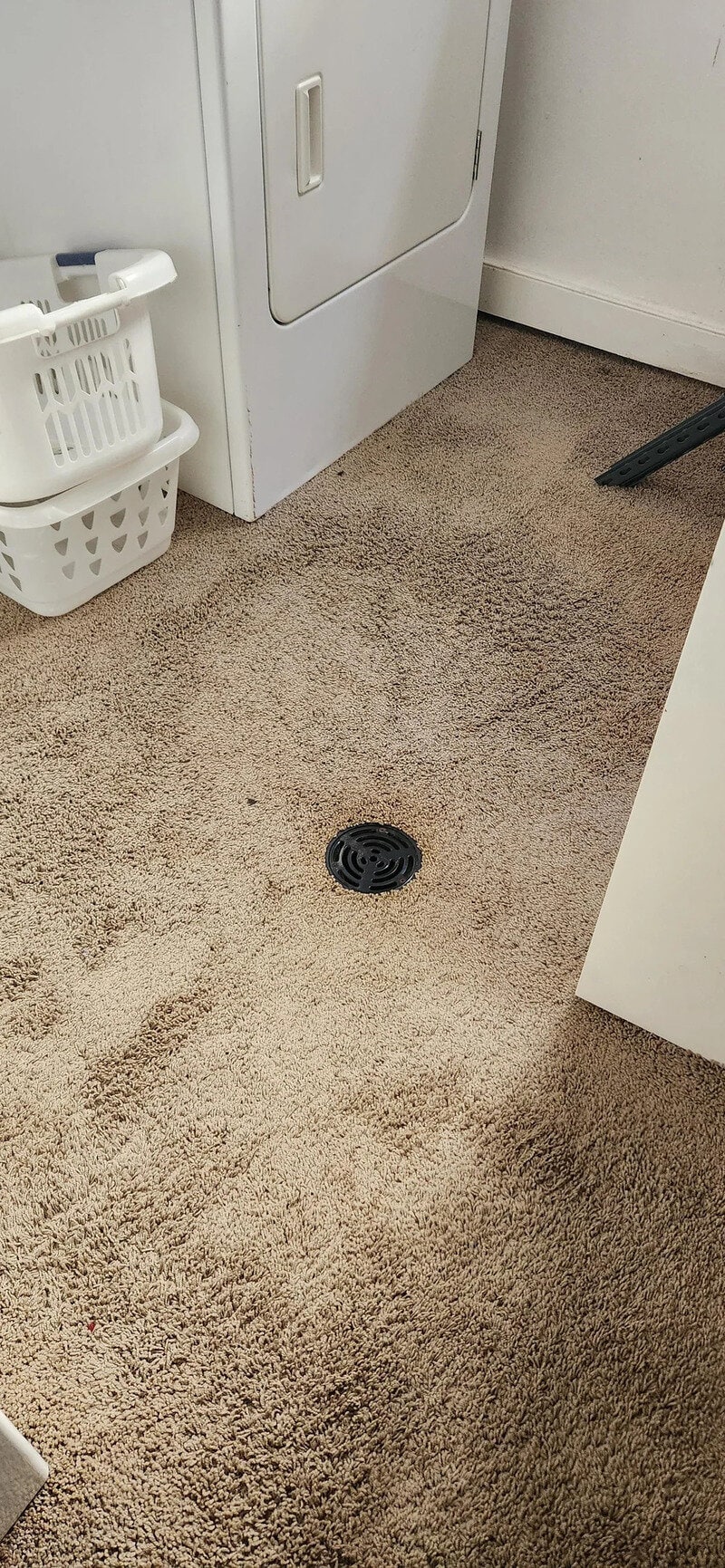 Clogged drain on beige carpet near laundry area.