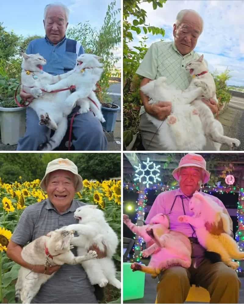 Elderly man holding a large white dog in four different settings.