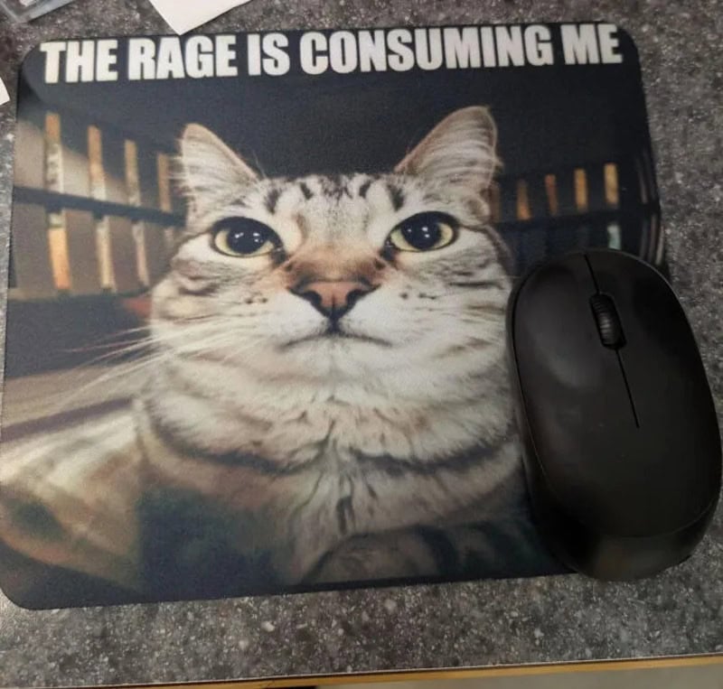 Cat on a mouse pad with the text 'The rage is consuming me'.
