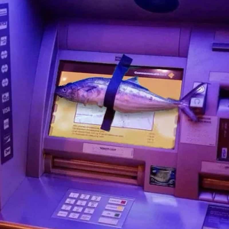 Fish taped to an ATM screen, resembling a bank transaction.