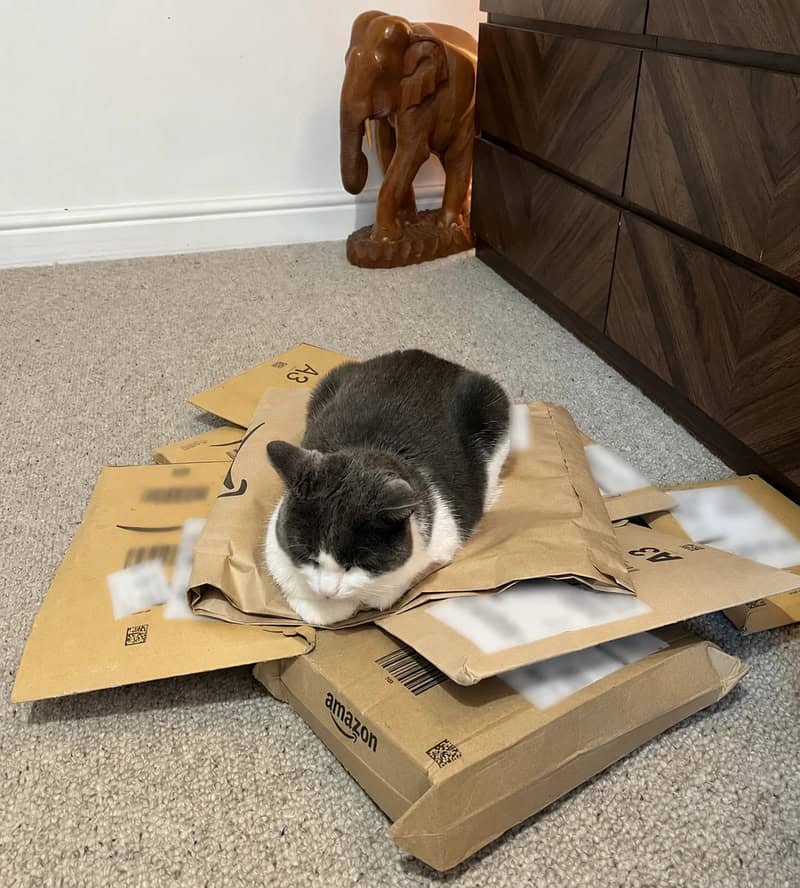 Cat lying on Amazon packages on the floor, with a wooden elephant sculpture nearby.