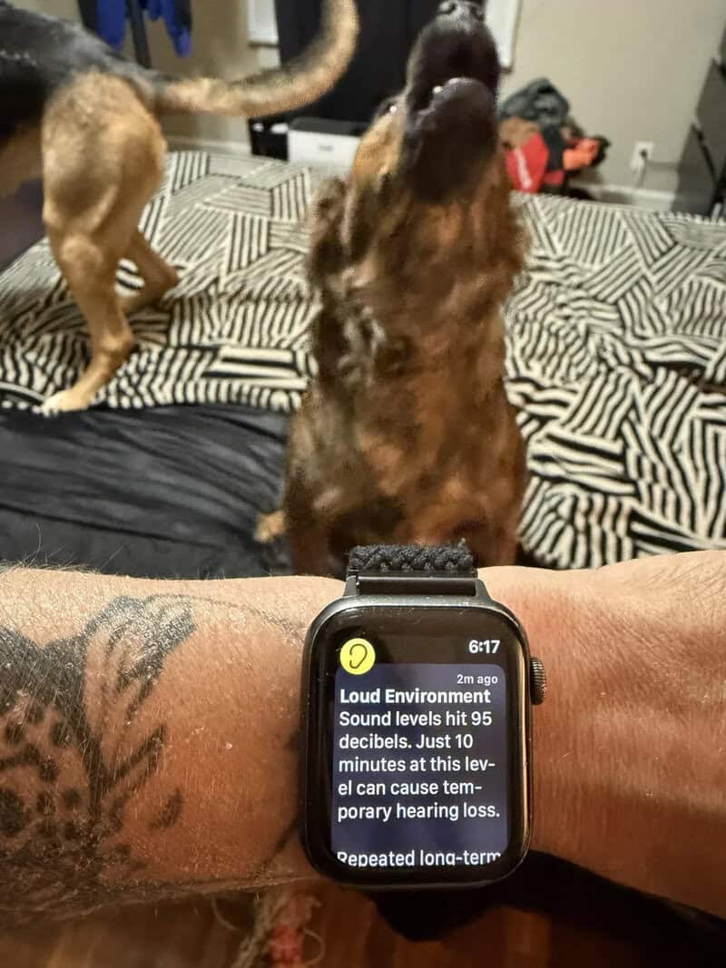 Dog with a watch showing a loud environment warning, with another dog in the background.