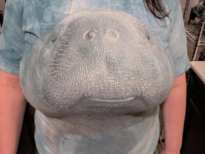T-shirt with a large dinosaur face print, worn by a woman.