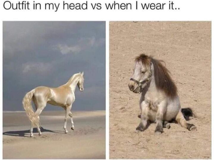 Humorous comparison of a horse's mane and a person's hairstyle.