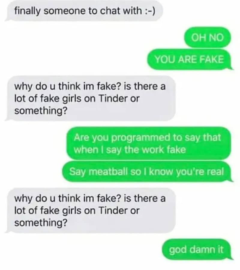 Chat conversation about fake profiles on Tinder, with messages saying 'YOU ARE FAKE' and 'are you a.