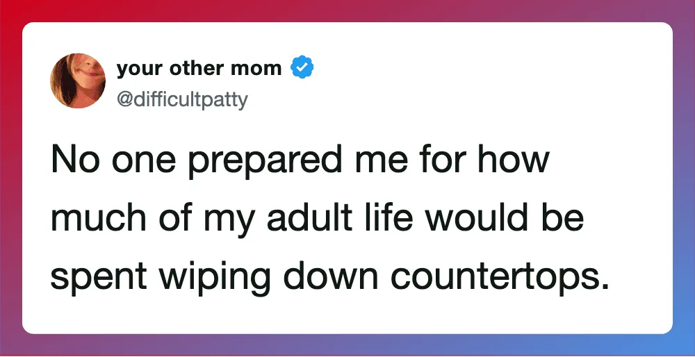 No one prepared me for how much of my adult life would be spent wiping down countertops.
