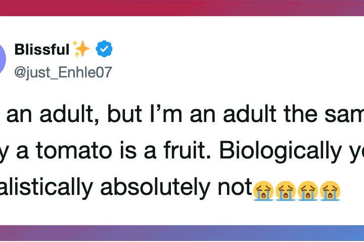 Twitter post by Blissful about being an adult, comparing it to a tomato.
