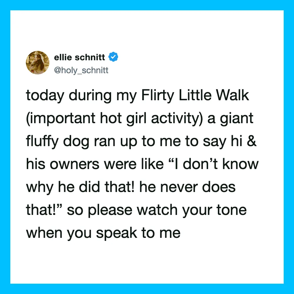 Ellie Schnitt's tweet about a fluffy dog running up to her during a walk.