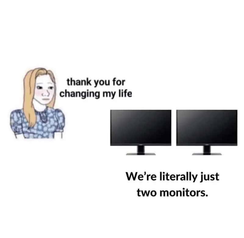 Thank you for changing my life. We're literally just two monitors.