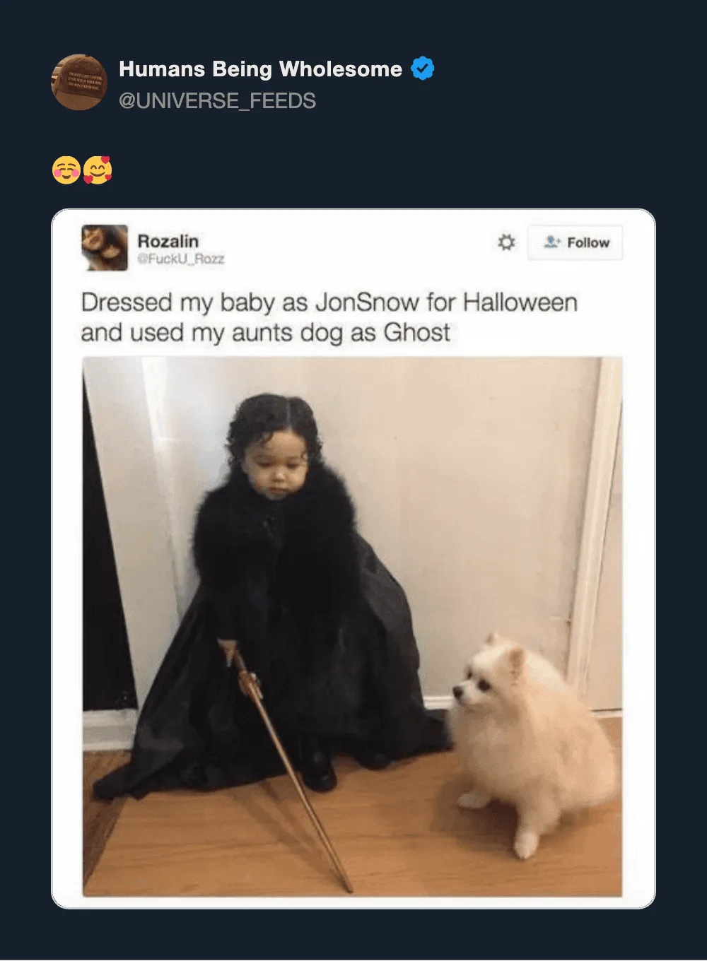 Child dressed as Jon Snow with a dog as a ghost for Halloween.