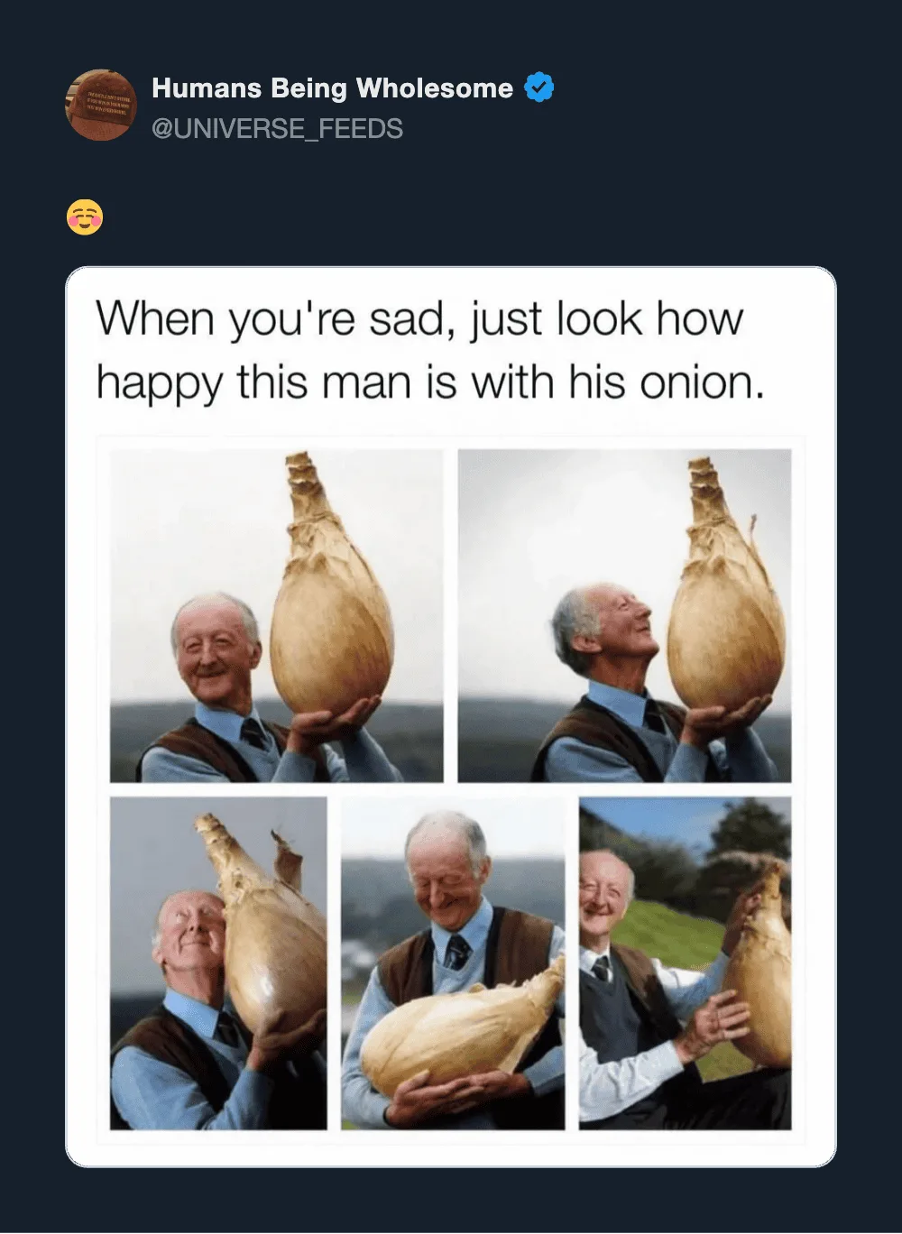 Man smiling with his onion in various poses, showing happiness.