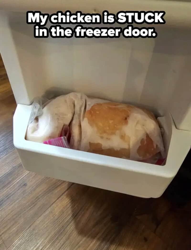 My chicken is STUCK in the freezer door.
