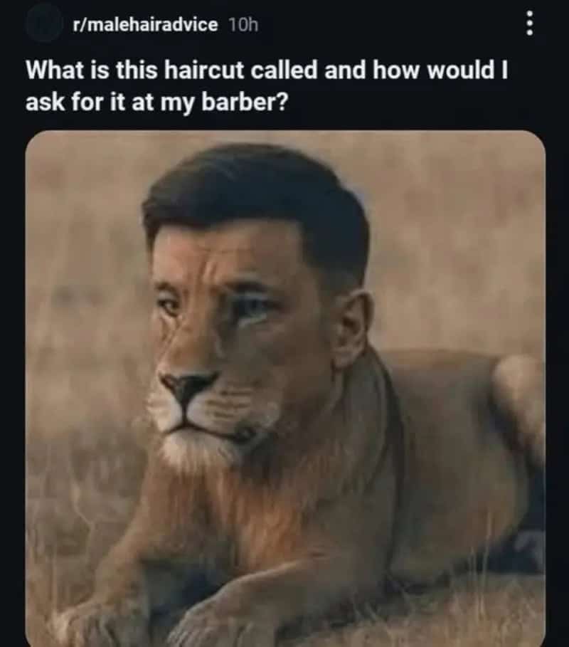 What is this haircut called and how would I ask for it at my barber?.